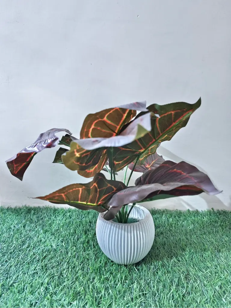 Green leaves with white pot
