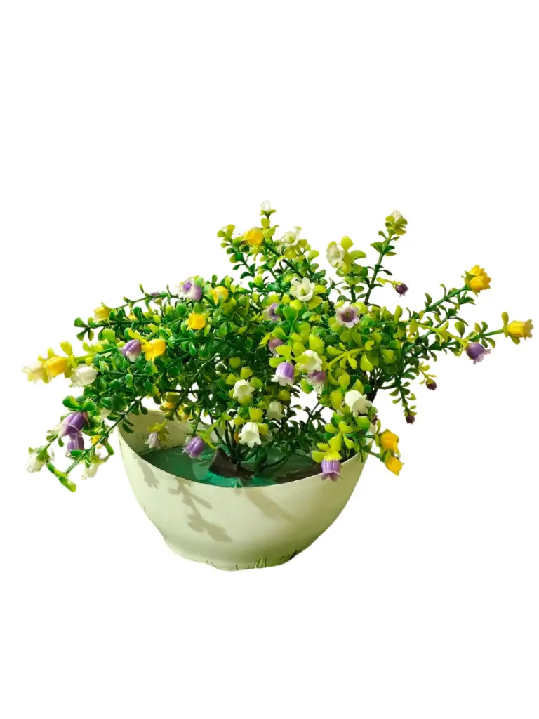 Multicolor fruitful bonsai with white pot