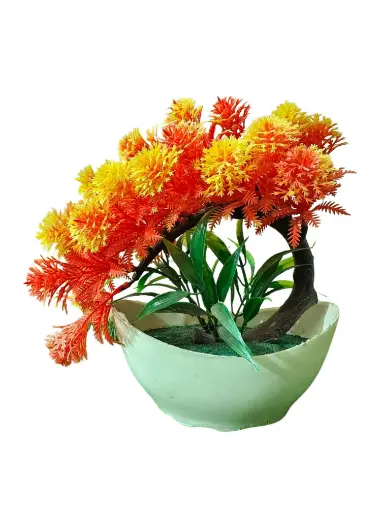 Orange bonsai plant with white pot