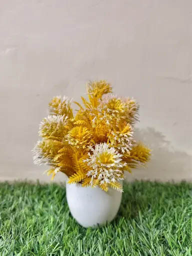 Gold pines in miniature pot