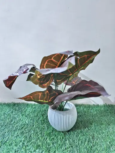 Green leaves with white pot